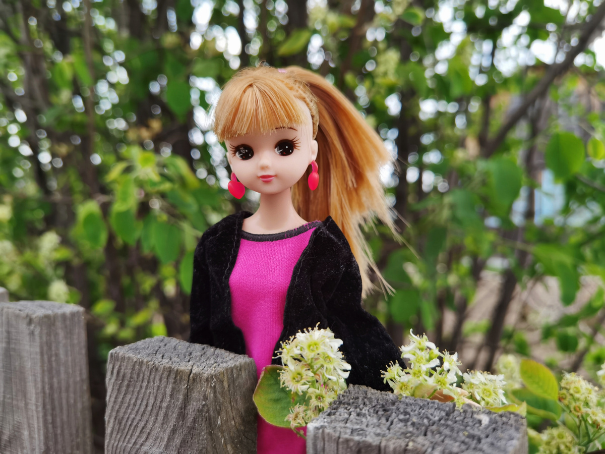 Ликка у нашего заборчика 