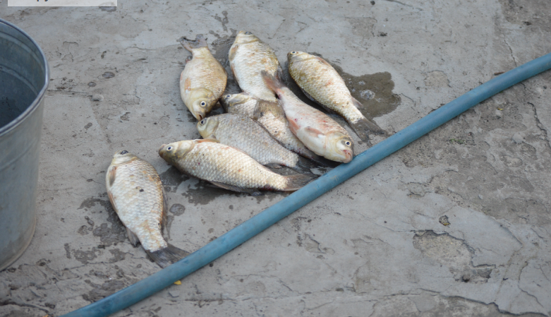 Фото автора. Май 2025. 