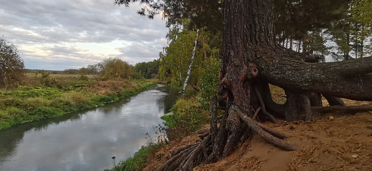 Сразу на природу!