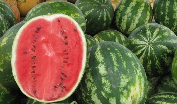   Российские туристы в Египте массово отравились арбузами с нитратами
