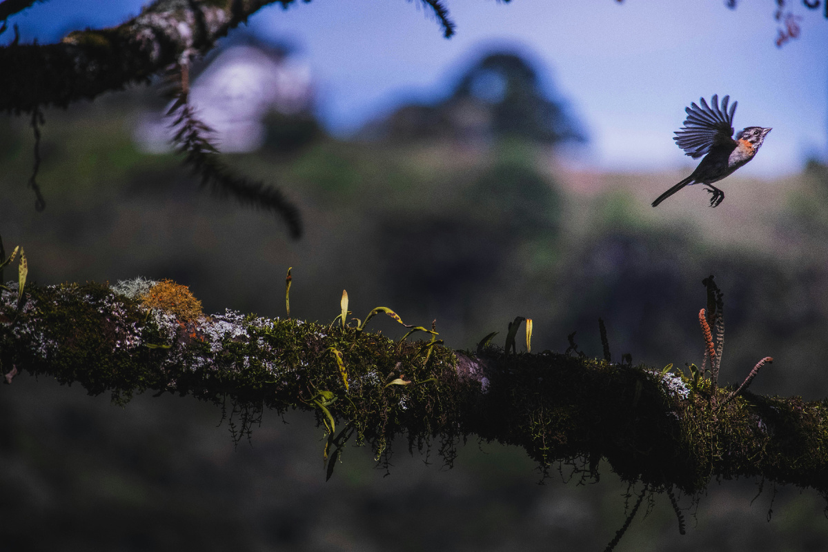 Картинка с бесплатного фотостока https://unsplash.com, автор Guilherme Ramos