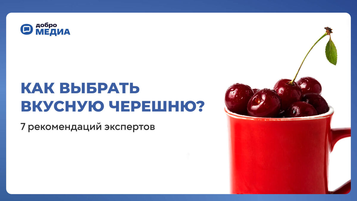    Как выбрать черешню   📷   Как выбрать черешню   📷   Как выбрать черешню
