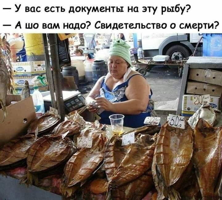                             ☘️🍀🌸🌼☘️🍀