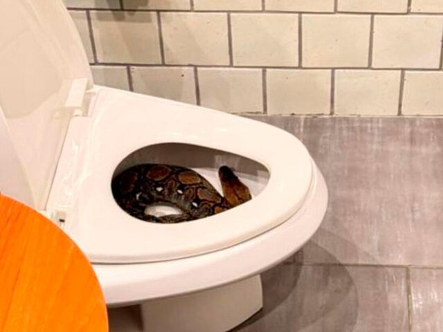    Фото: facebook.com (принадлежит Meta, признана экстремистской и запрещена на территории РФ)/Tattam