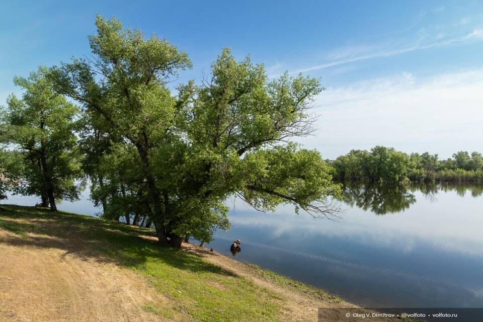    Фото: Олег Димитров / "Городские вести"
