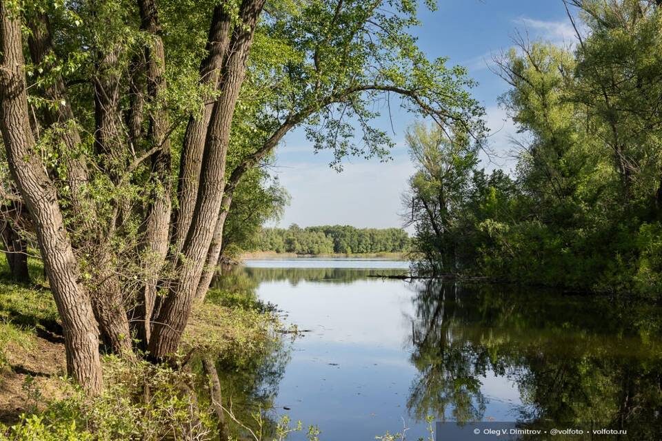    Фото: Олег Димитров / "Городские вести"