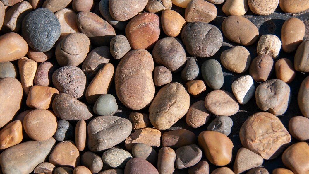    Фото: Svetlana Vozmilova/Globallookpress