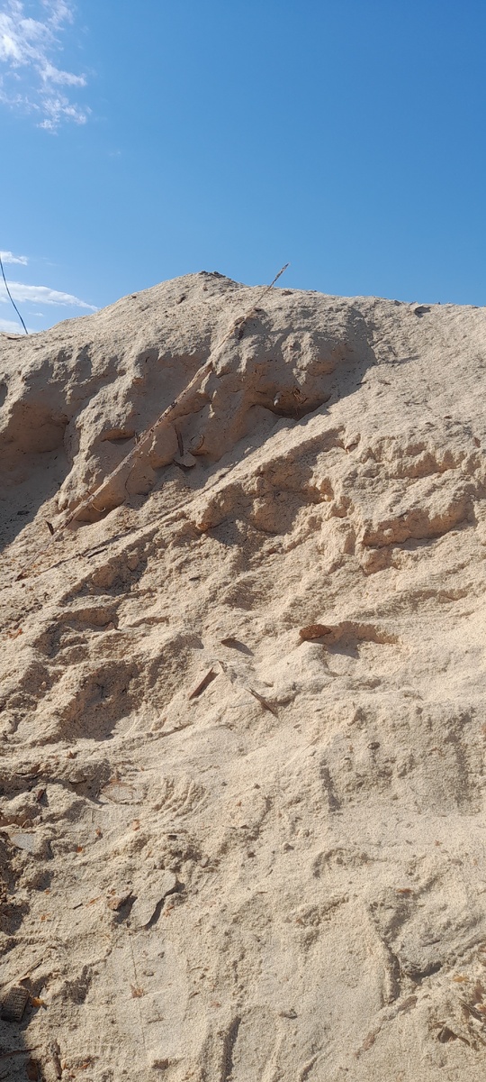 Горы опилок