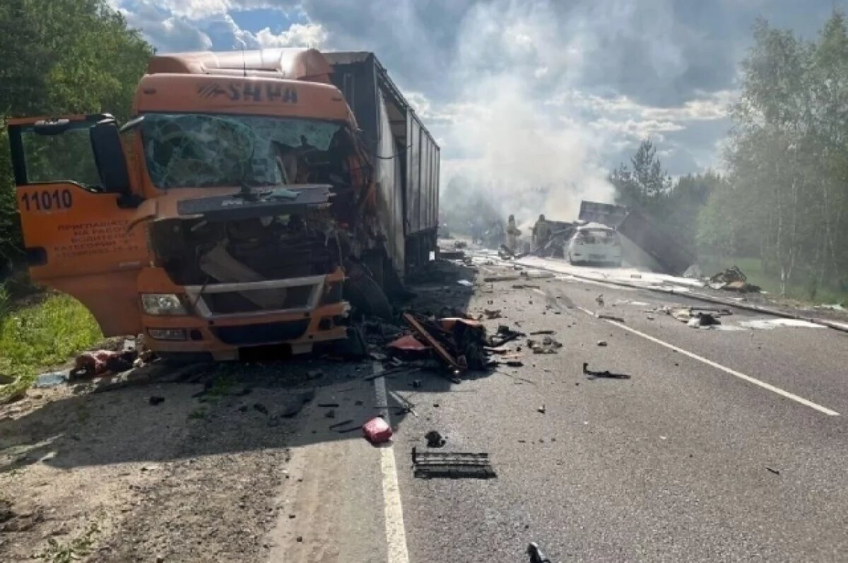    Два водителя погибли в страшном ДТП в Клепиковском районе Рязанской области