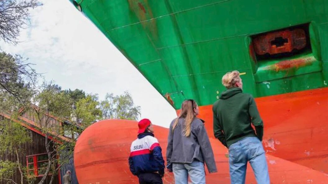    Контейнеровоз и жители домов на побережье / Фото: Телеграм-канал Shot