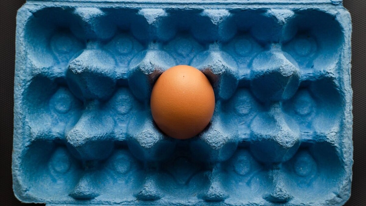     Автор: Unsplash