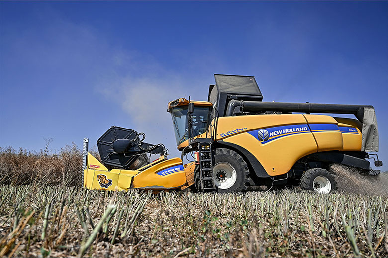    Dmytro Smolienko/Global Look Press