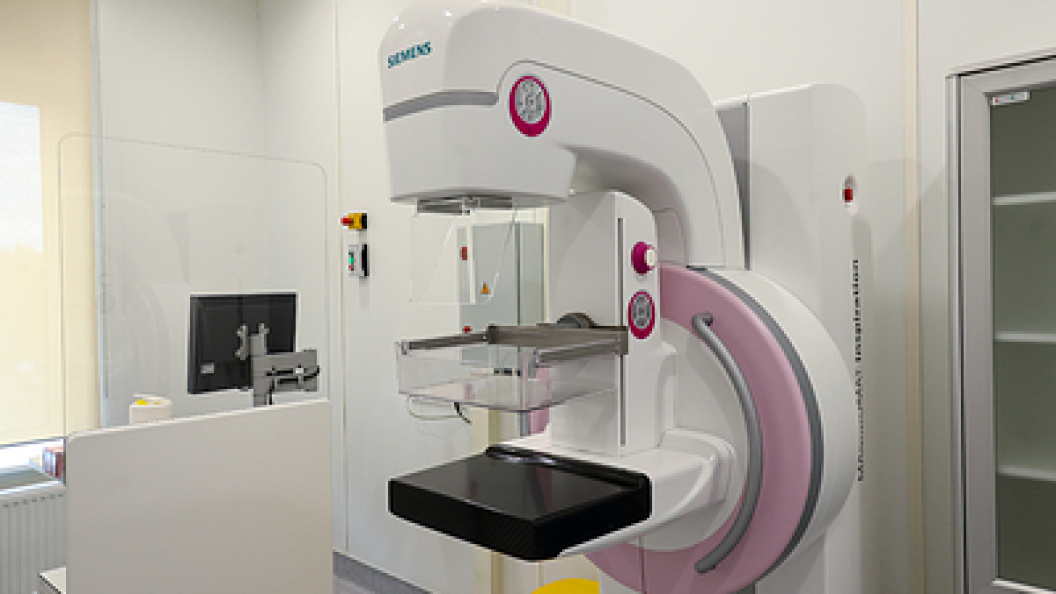    Фото: Petrov Sergey/Globallookpress.