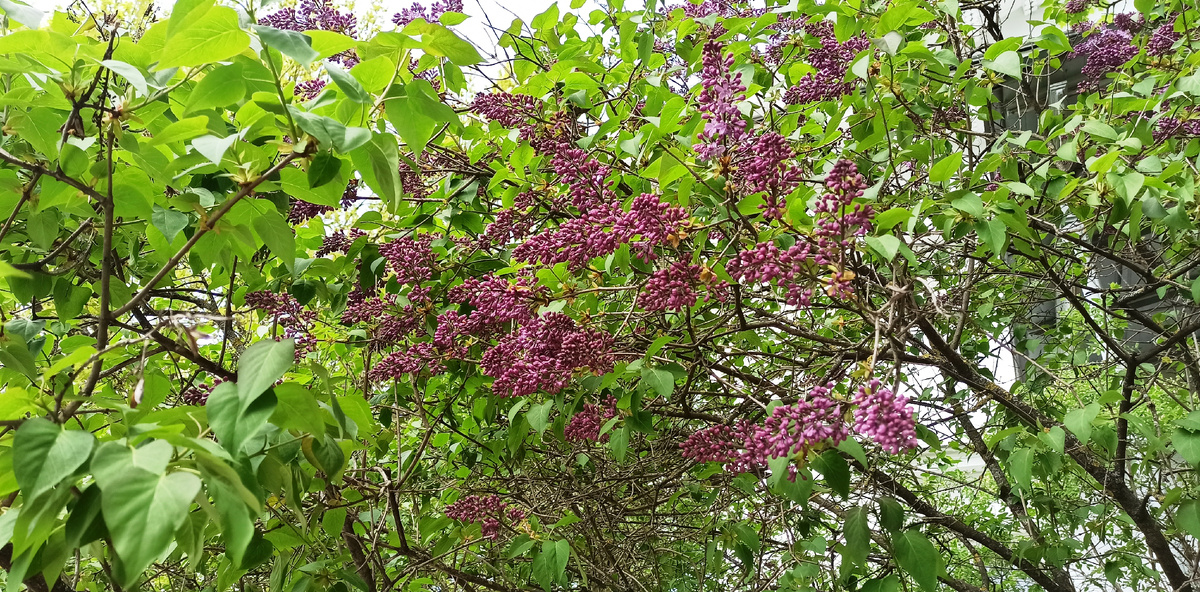 Листайте дальше