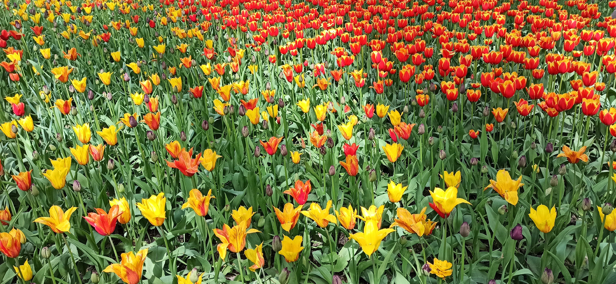 Листайте дальше