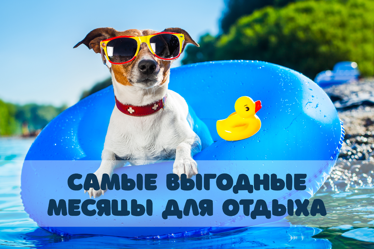 Фото: Javier Brosch / Shutterstock