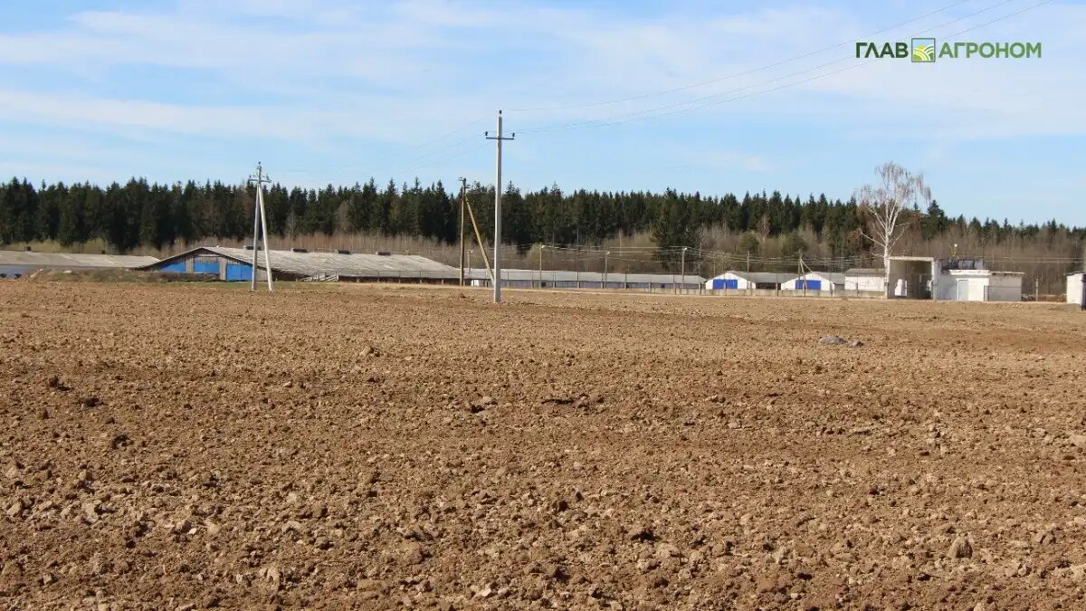 Фото: © Владимир Исаенко / Glavagronom.ru
В Башкирии приняли закон об увеличении земель фермеров в 40 раз