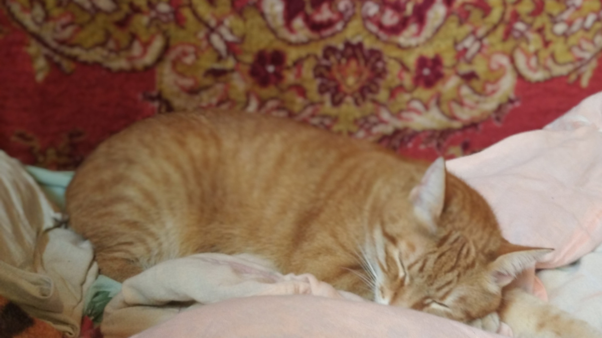 Личное фото