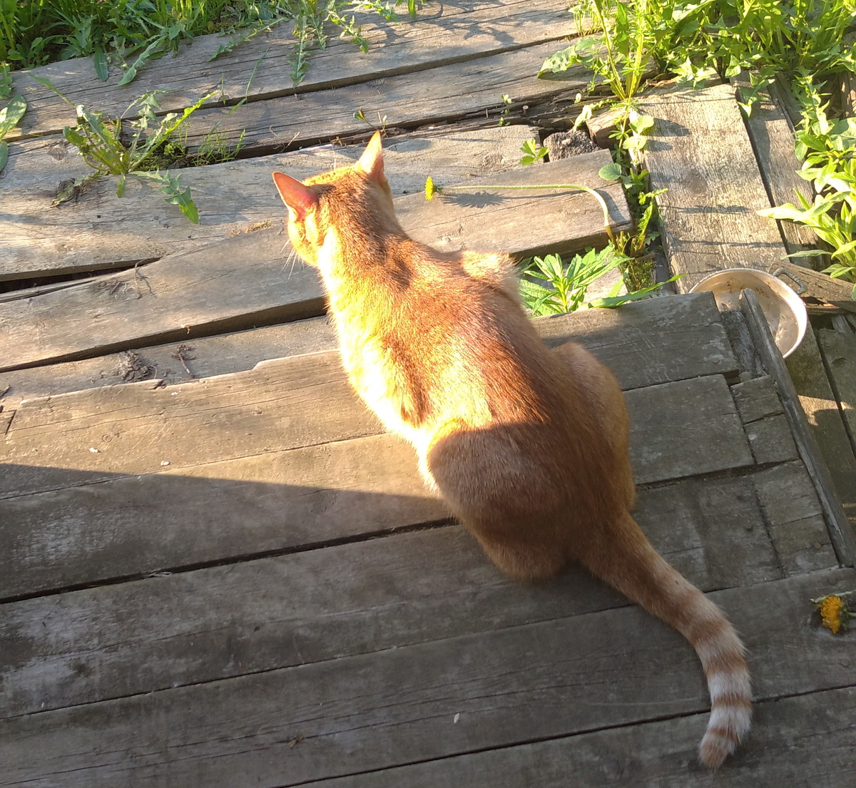 Личное фото