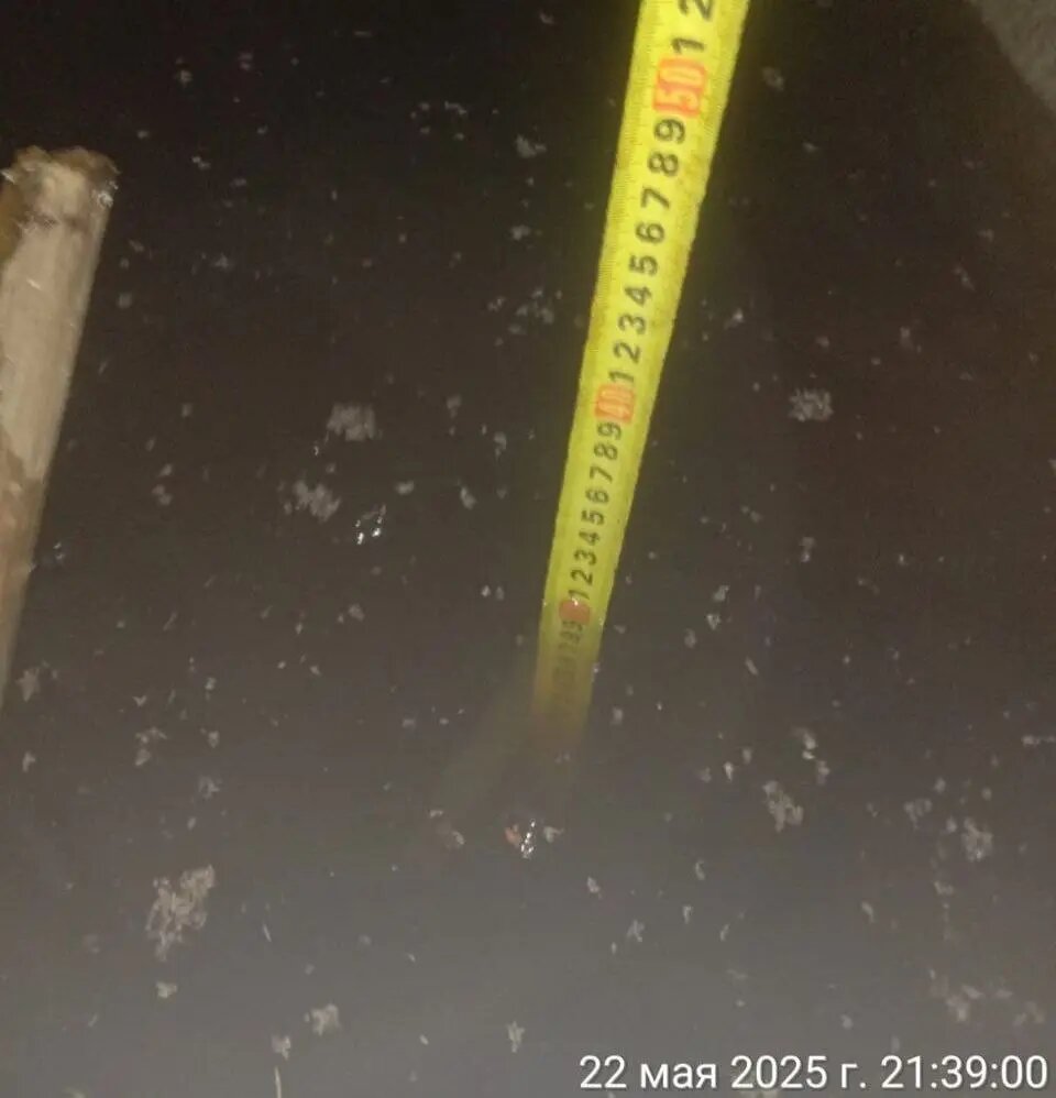    Озеро фекалий в доме на Петергофском шоссе. Фото: читатель Мойки78 Вадим