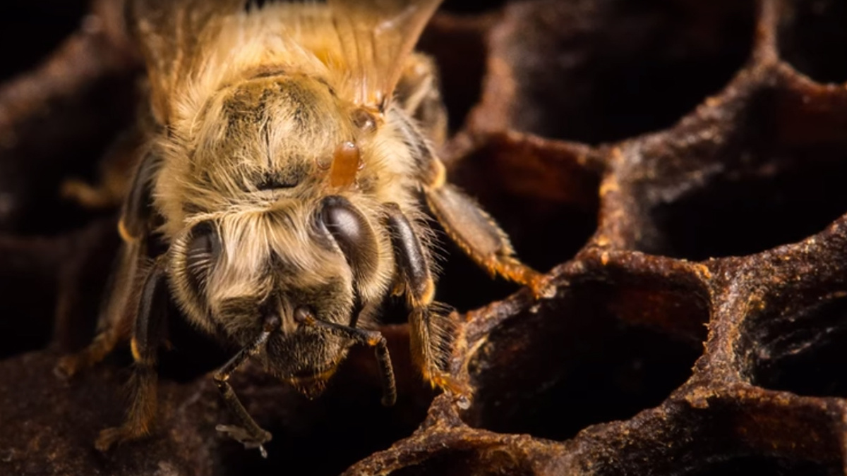 фото для примера