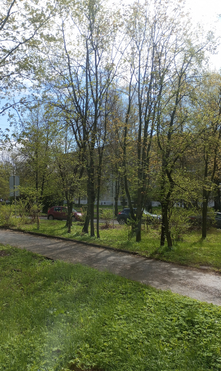 Фото автора. 