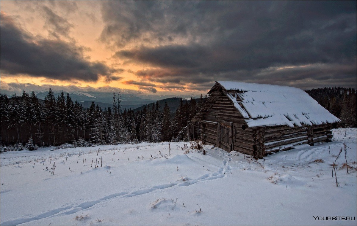 Автор: Александр Ветров, бывший юрист, а ныне отшельник по собственному выбору