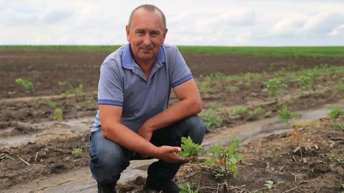 Фото:Евгений Литвинов
Для защиты посевов в ООО «Семена» применяют биопрепараты и энтомофагов