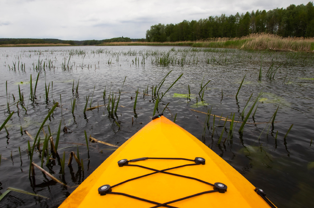 Трава и мели не преграда