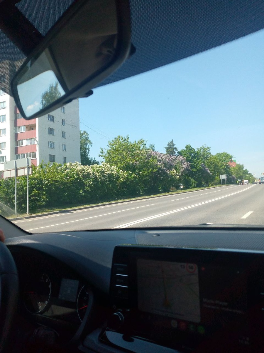 Истра утопает в цветущей сирени