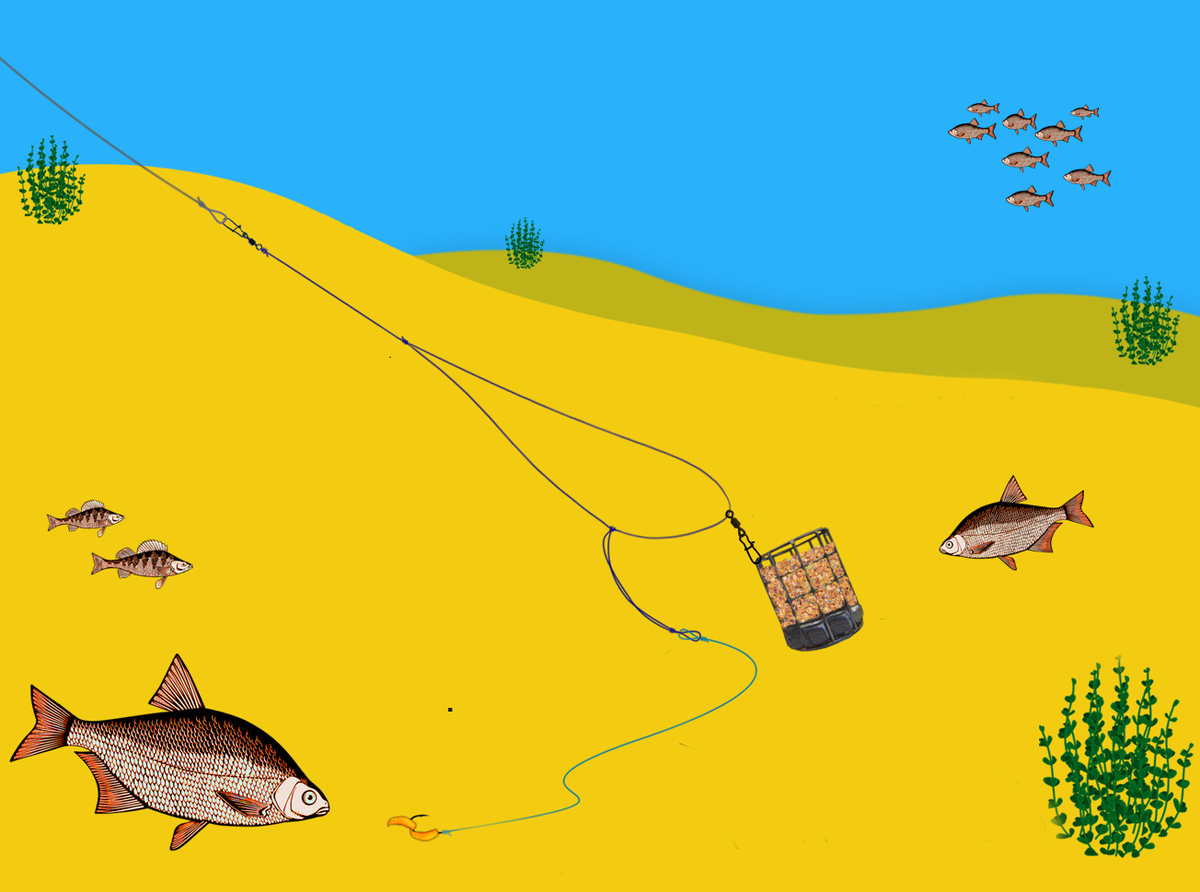 Ловля леща на фидерную оснастку
