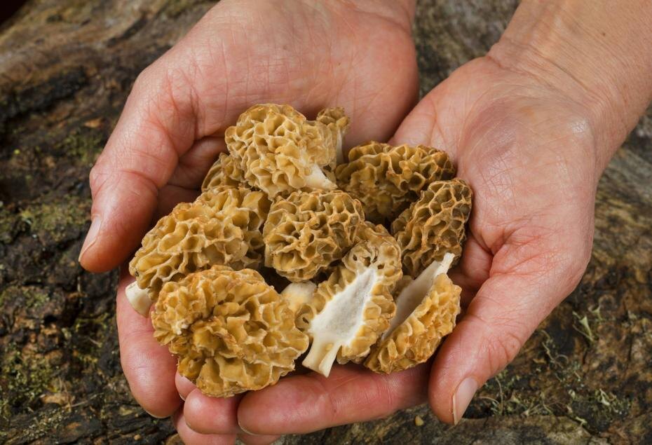    F. Hecker/imago stock&people/Global Look Press