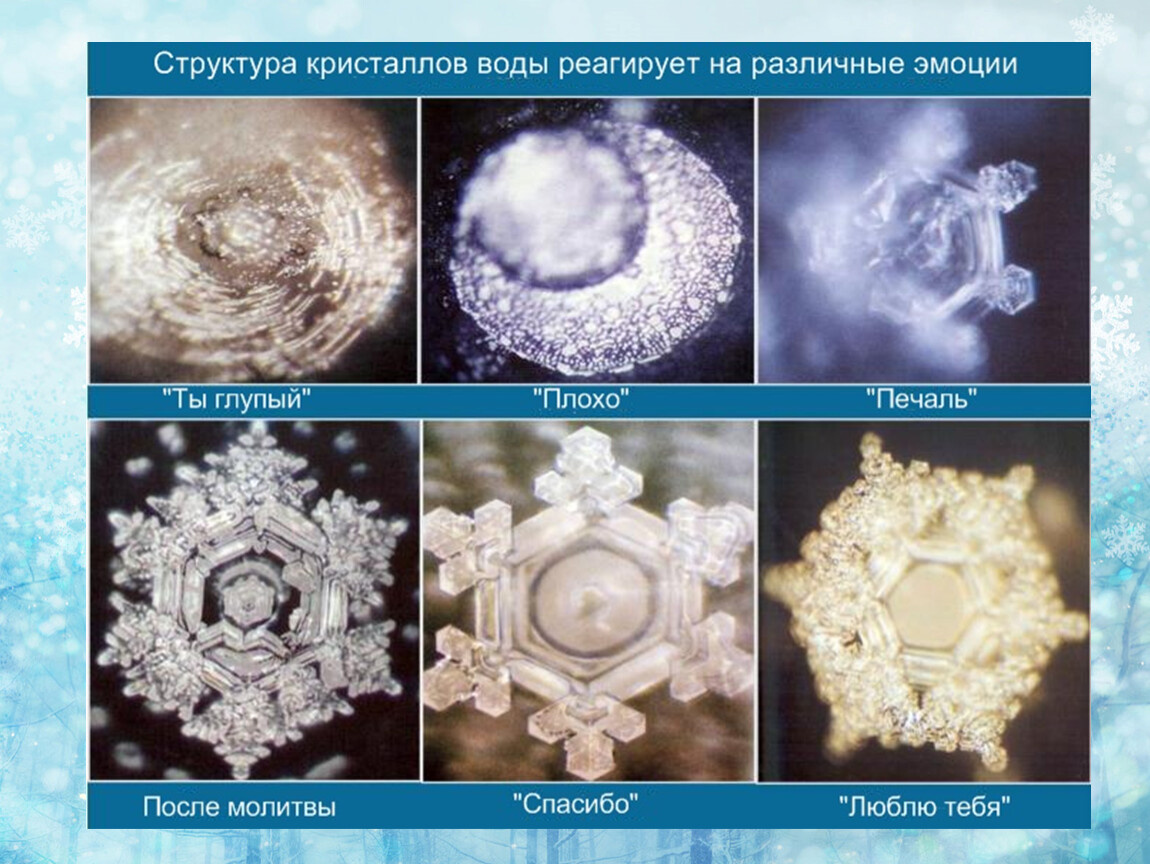 Влияние воздействия слов и эмоций на структуру воды по результатам эксперимента Масару Эмото