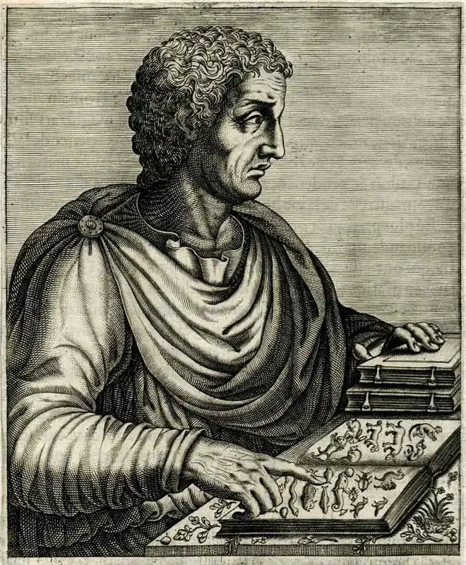 Гравюра Плиния Старшего, около 1584 г., из Британского музея