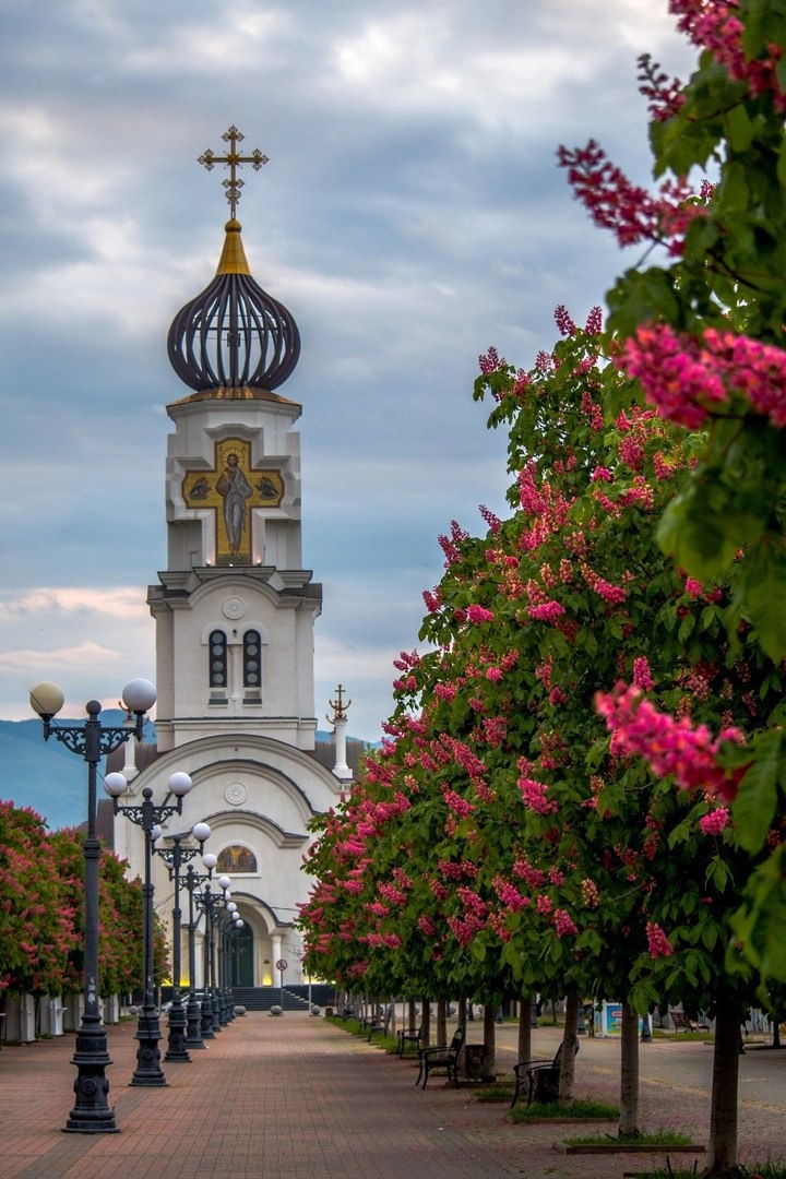 Фото Ксении. В Новороссийске  каштаны цветут  ярким. Цветом