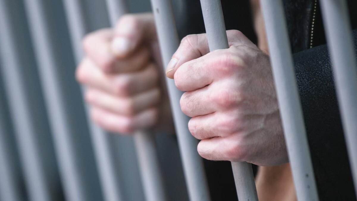    Фото: Ilya Moskovets/globallookpress.com