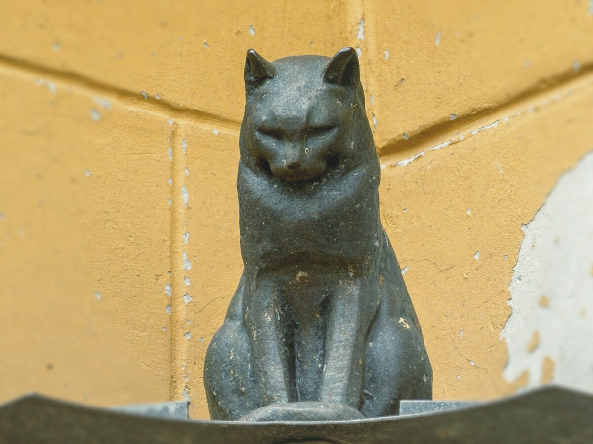 Кот Елисей. А на следующей фотогорафии - 