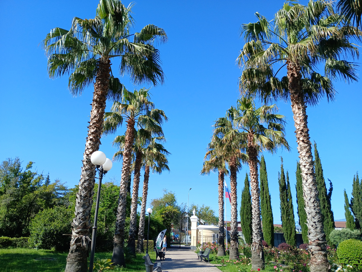 Парк Южные Культуры