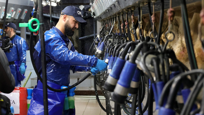 Фото: администрация Выборгского района Ленобласти