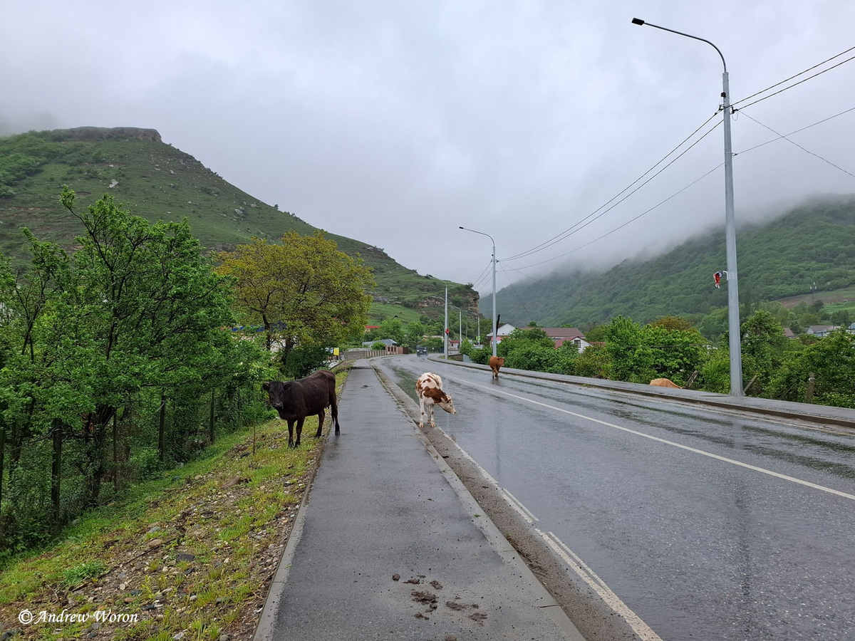 Дорога на Учкекен