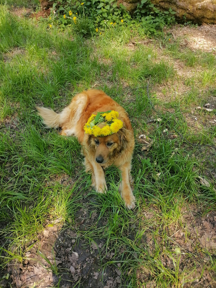 Веночек для Герды