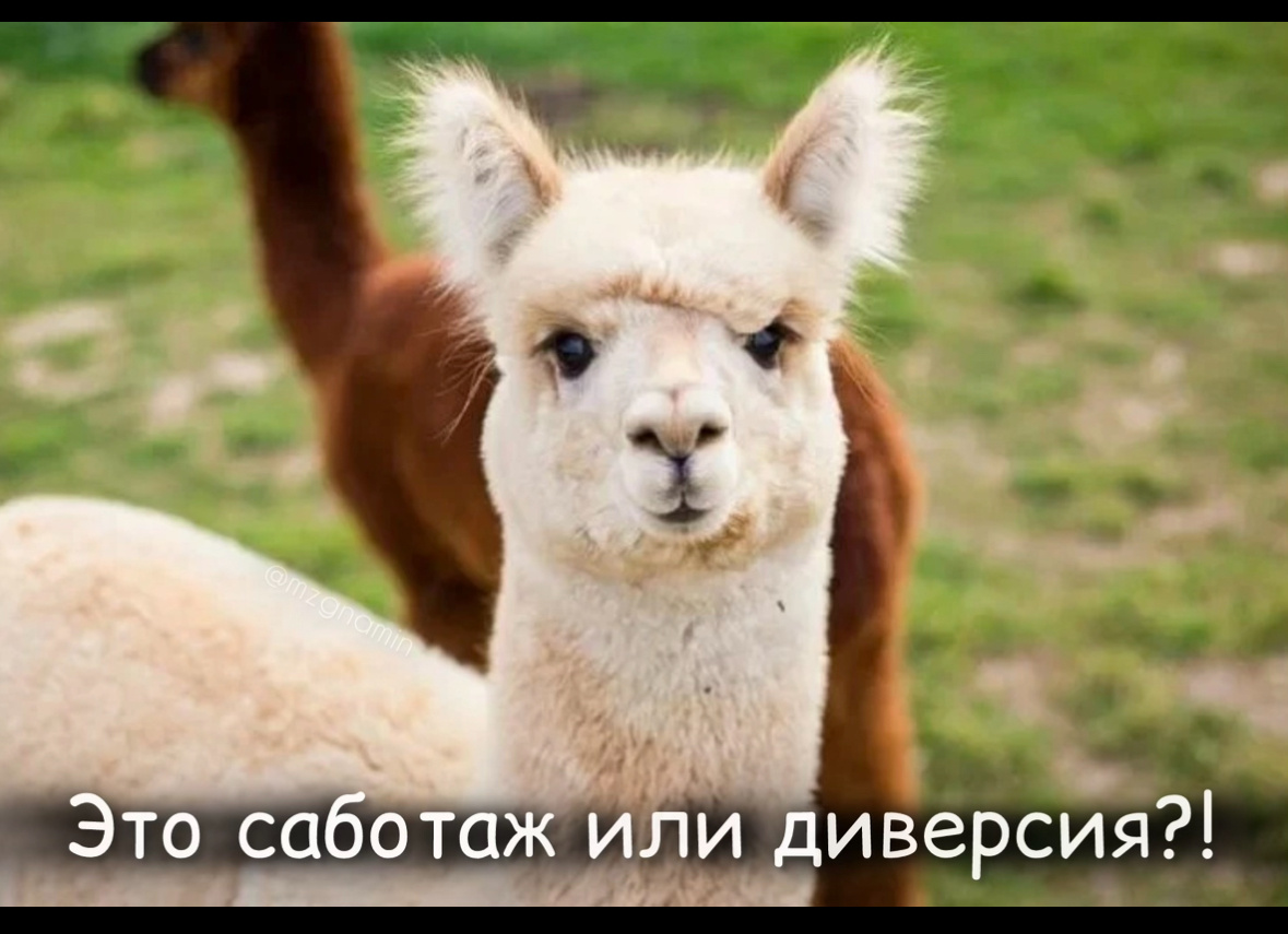 Мозг умеет выдерживать физическую усталость, но плохо справляется с рискованной важностью