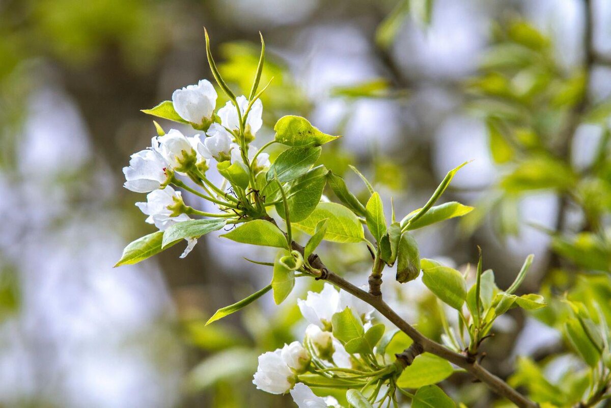    © vk.com/gorzelenstrojperm