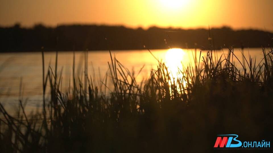    ФОТО: МТВ.ОНЛАЙН/архив