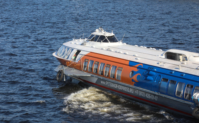    © Роман Пименов / «Петербургский дневник»