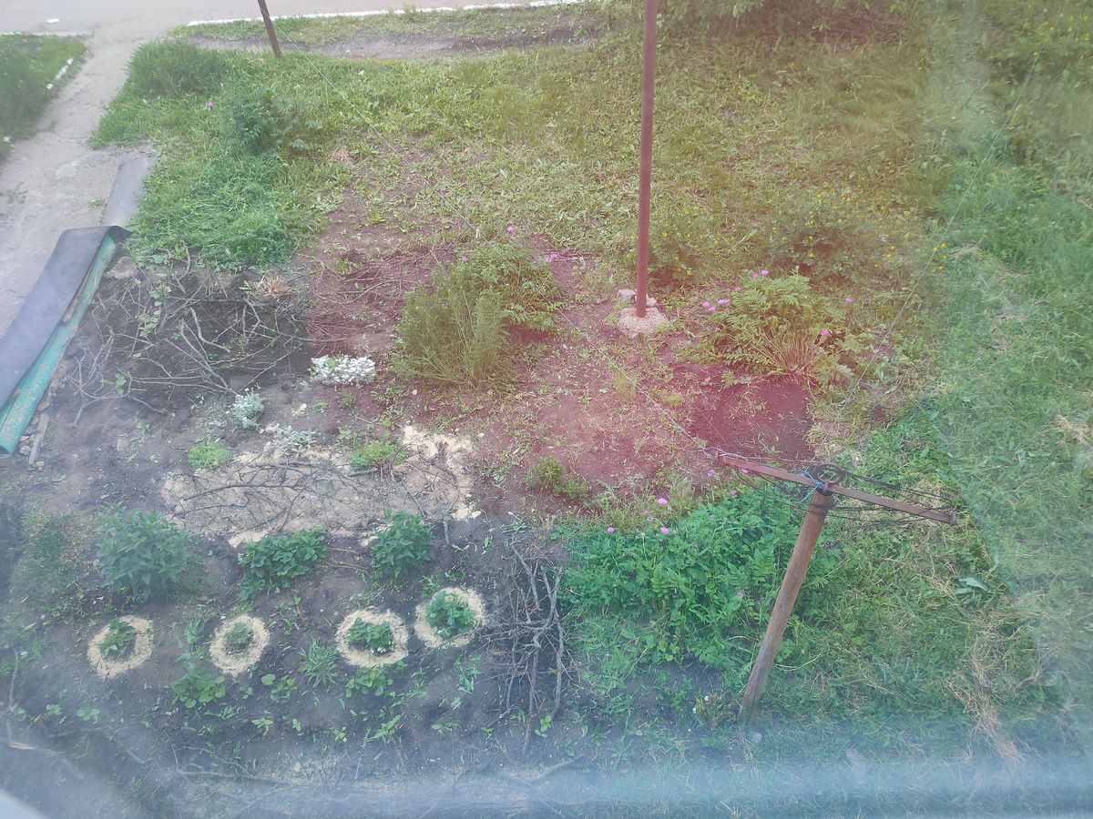 Клумба ПОСЛЕ 