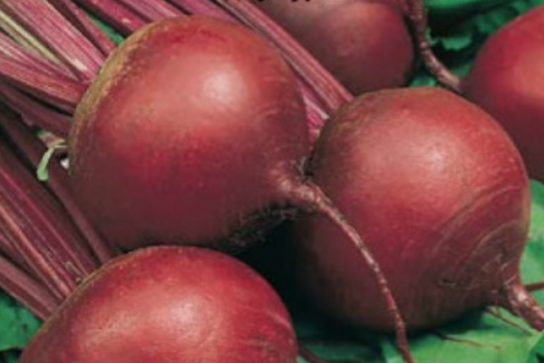 Свёкла столовая Одноростковая. Скрин автора с пакета с семенами