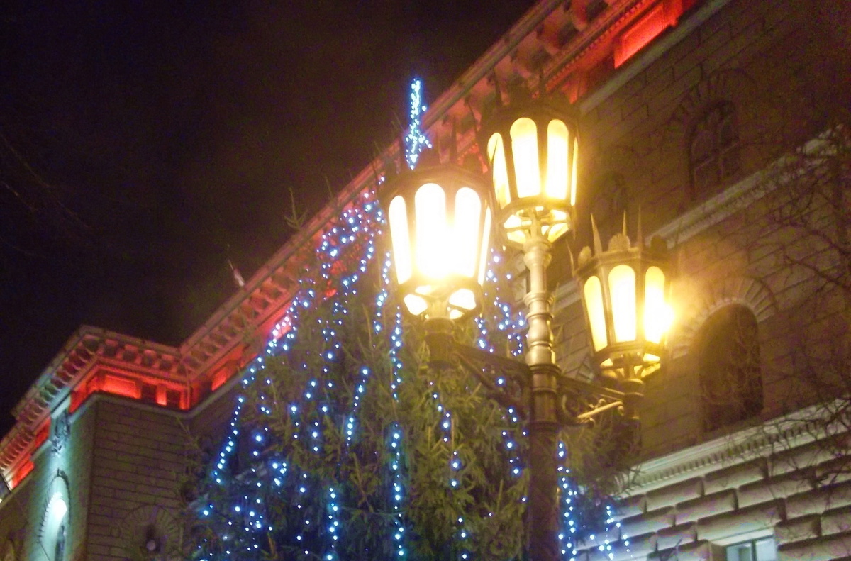 Фото автора