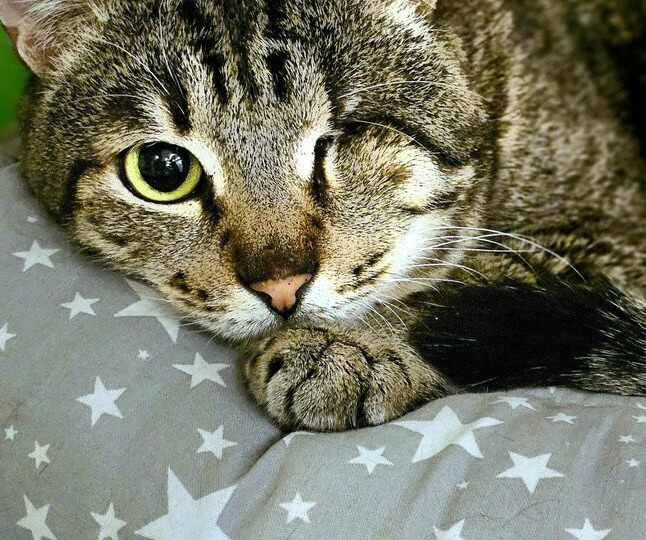 Малыш: семь лет улицы, один глаз, и всё равно — вера в добро