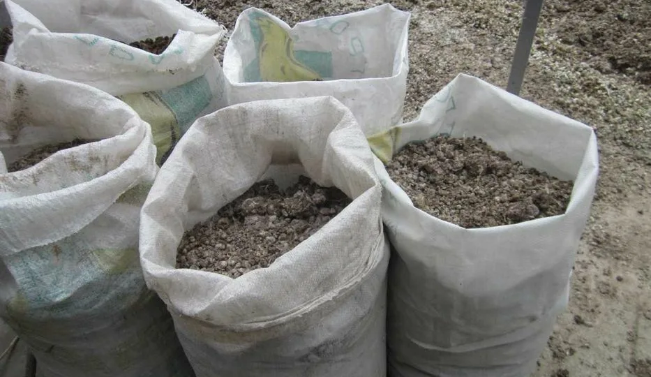 Как правильно использовать куриный помет как удобрение на даче и в огороде